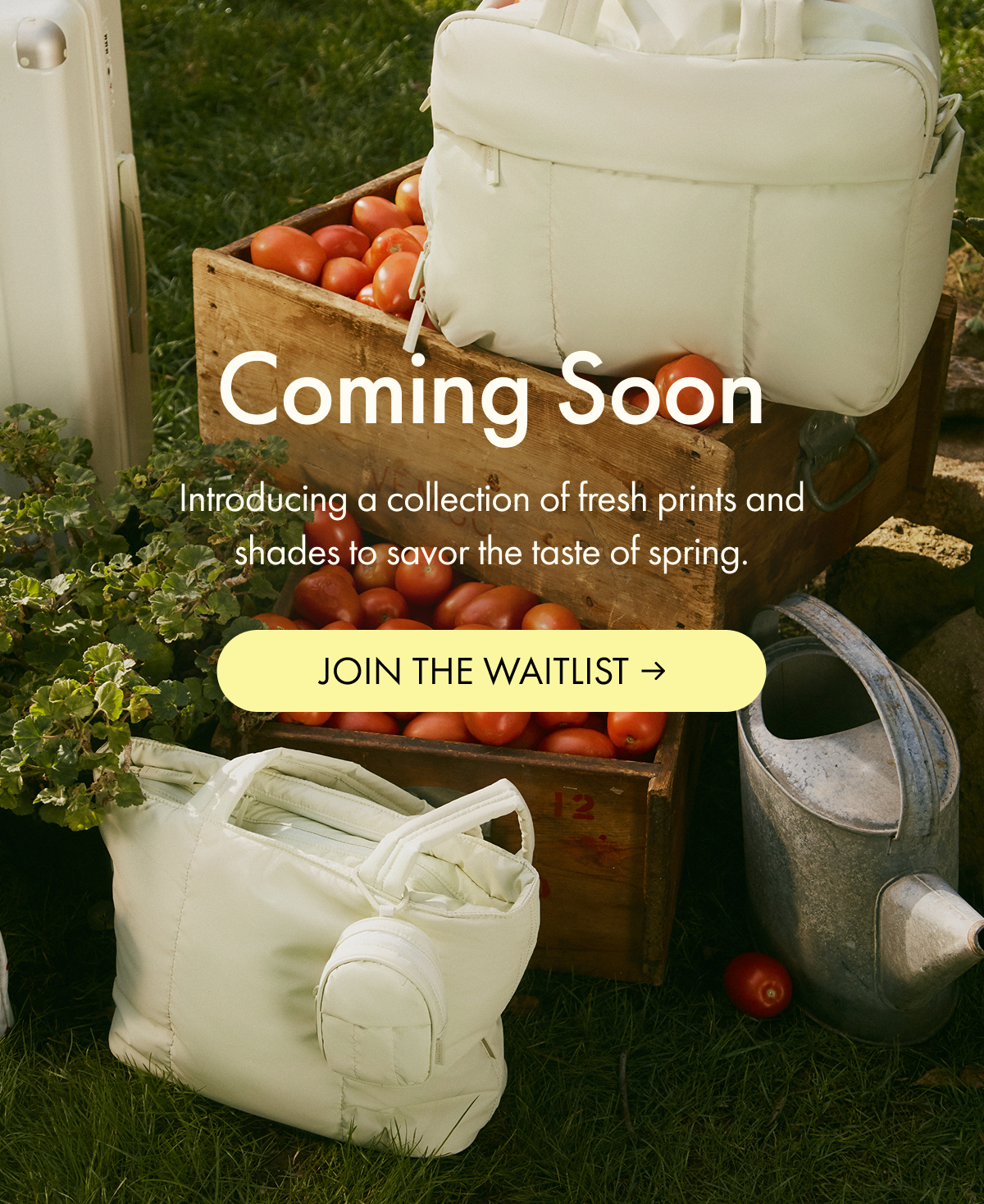 Coming Soon | Introducing a collection of fresh prints and shades to savor the taste of spring. | JOIN THE WAITLIST