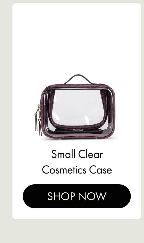 Small Clear Cosmetics Case | SHOP NOW