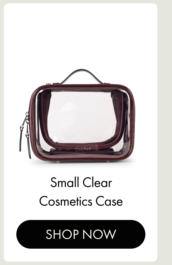 Small Clear Cosmetics Case | SHOP NOW
