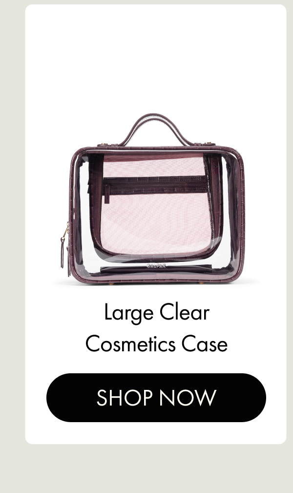 Large Clear Cosmetics Case | SHOP NOW