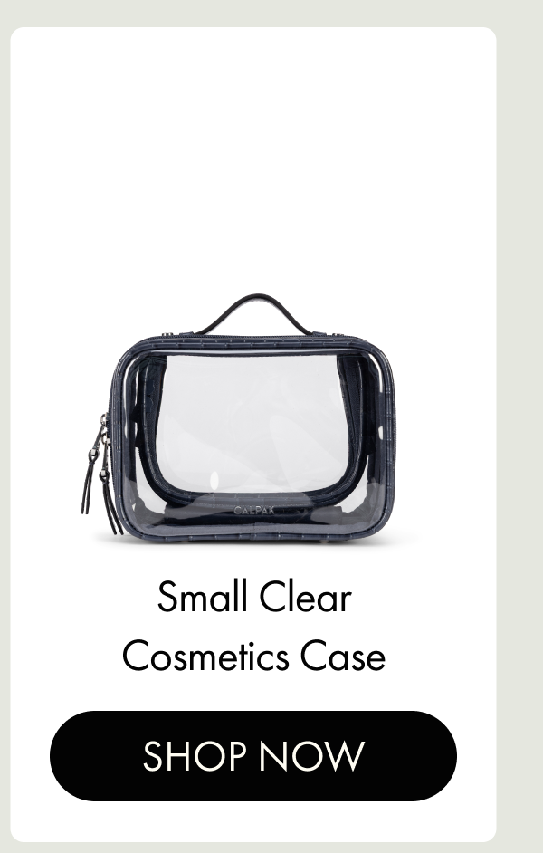 Small Clear Cosmetics Case | SHOP NOW