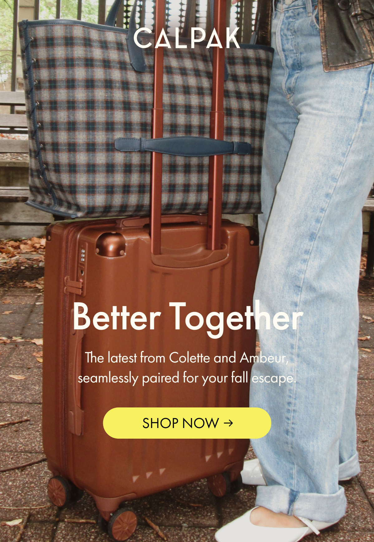 CALPAK | The latest from Colette and Ambeur for your fall escape. | SHOP NOW