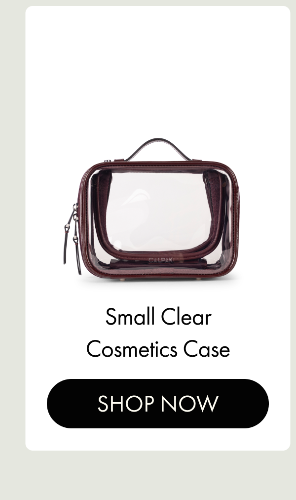 Small Clear Cosmetics Case | SHOP NOW