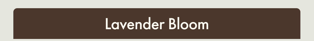 Lavender Bloom