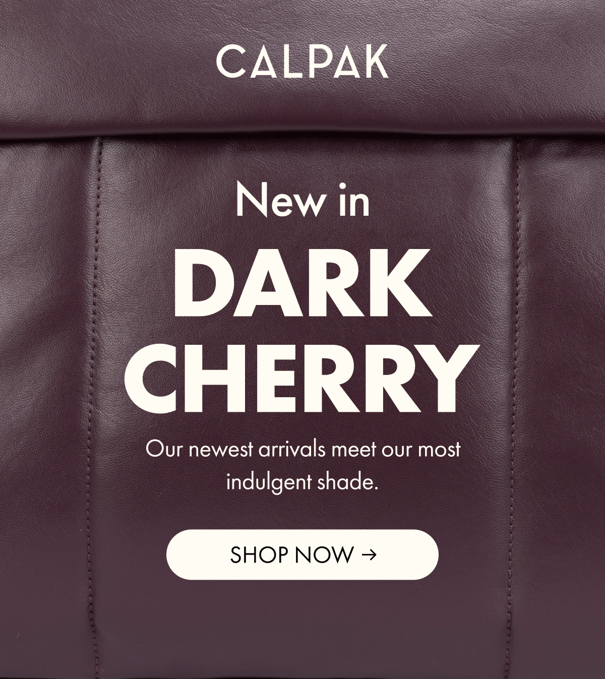 CALPAK | New in DARK CHERRY | Our newest arrivals meet our most indulgent shade. | SHOP NOW