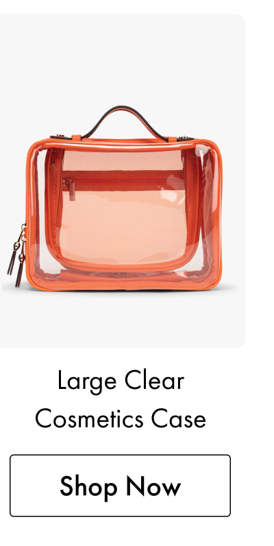 Large Clear Cosmetics Case