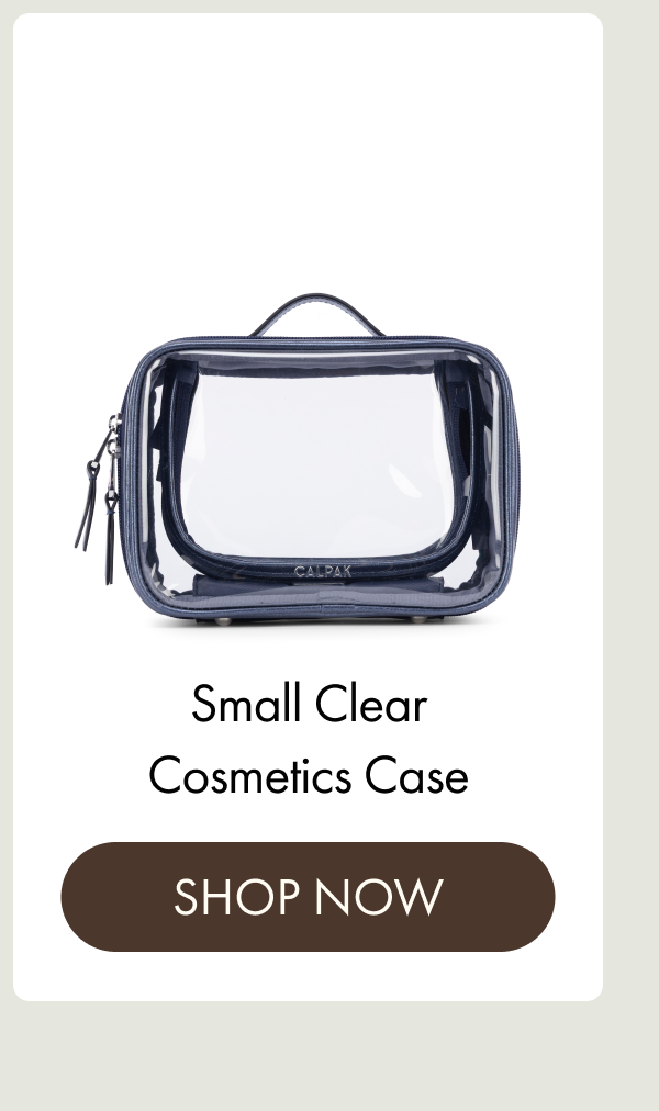 Small Clear Cosmetics Case | SHOP NOW