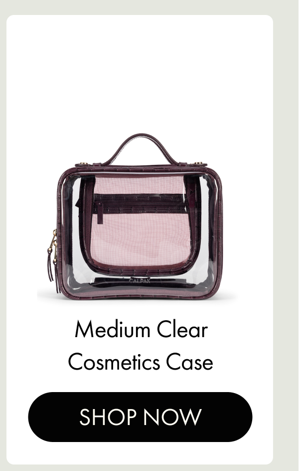 Medium Clear Cosmetics Case | SHOP NOW