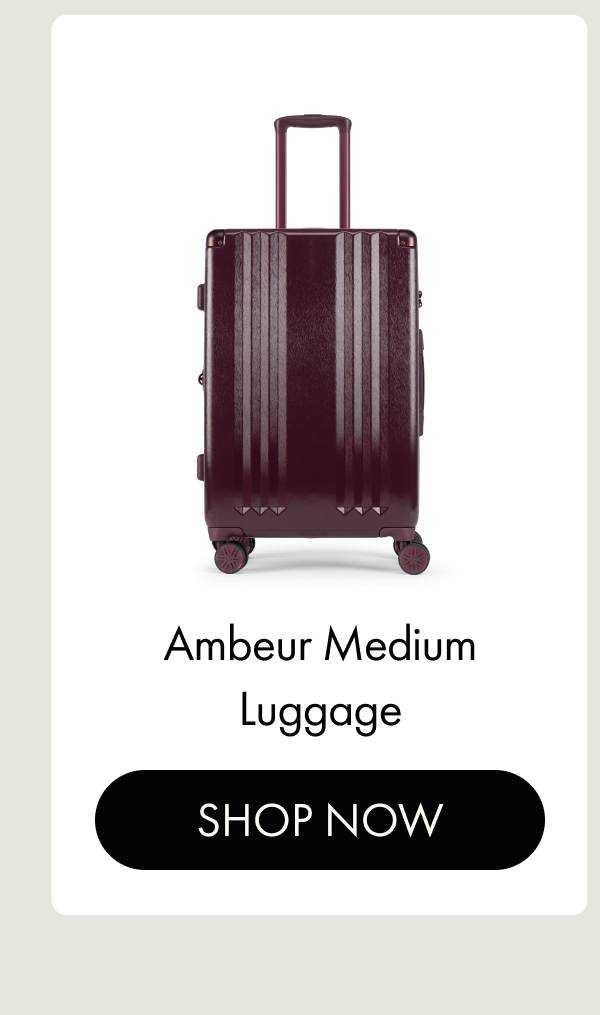 Ambeur Medium Luggage | SHOP NOW