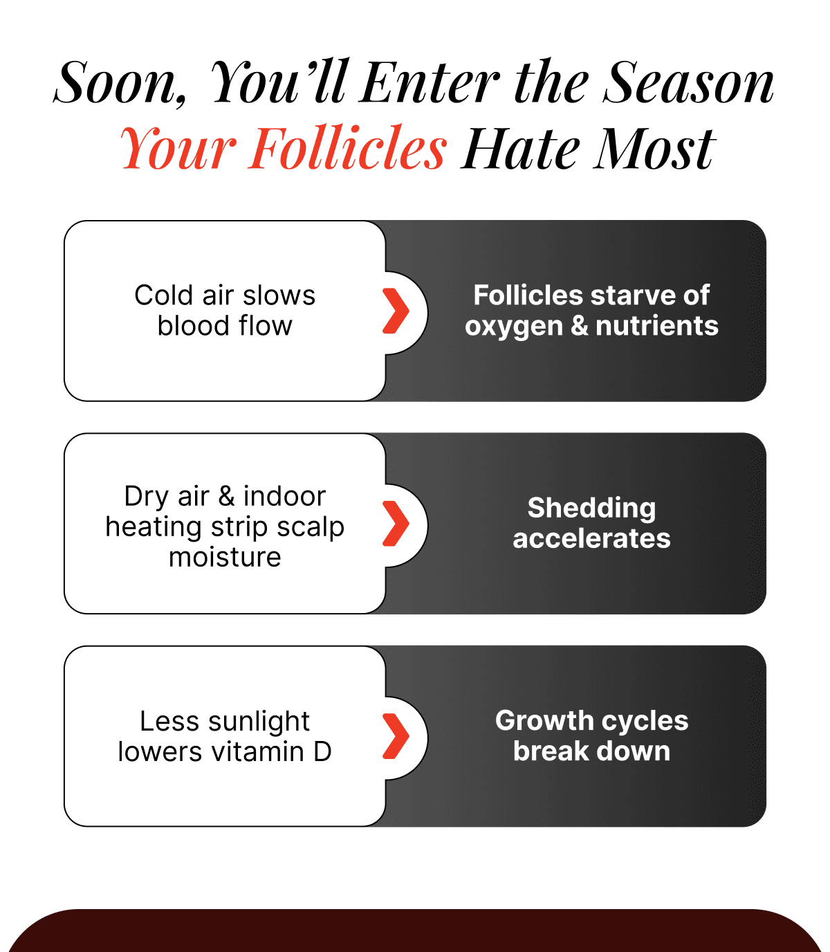 Season Your Follicles Hate The Most