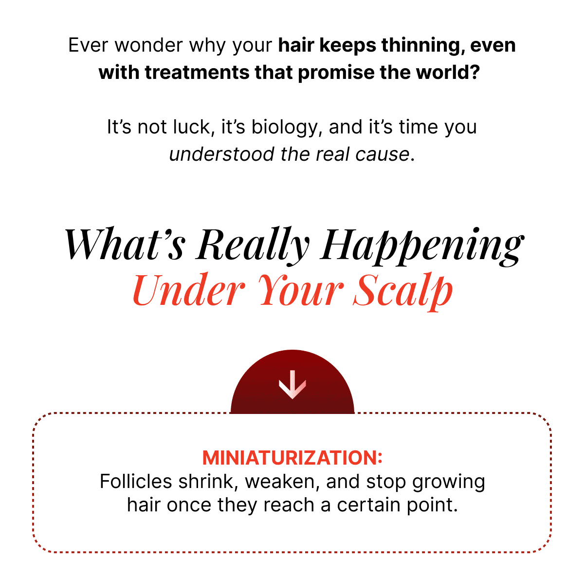 What's Really Happening Under Your Scalp