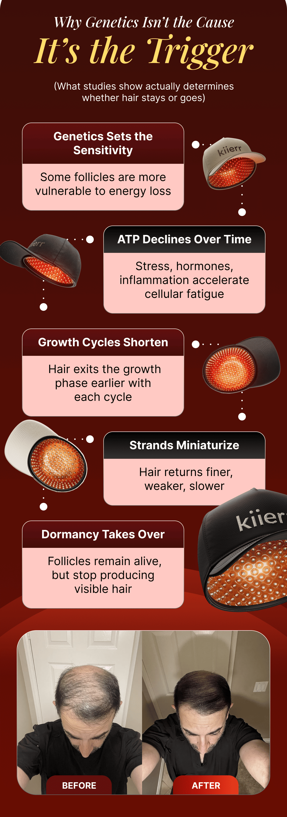 Why Genetics Isn't The Cause It's The Trigger