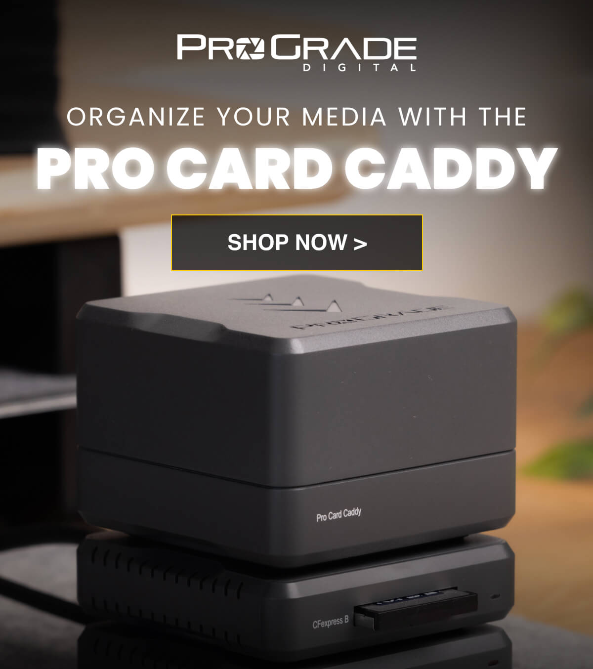 ORGANIZE YOUR MEDIA WITH THE PRO CARD CADDY