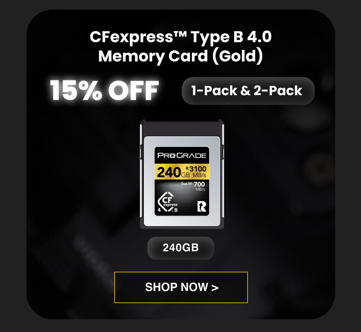 CFexpress™ Type B 4.0 Memory Card (Gold)  15% OFF  240GB (1-Pack & 2-Pack)