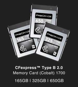 ProGrade Digital CFexpress™ Type B 2.0 Memory Card (Cobalt) 1700 165GB, 325GB, 650GB