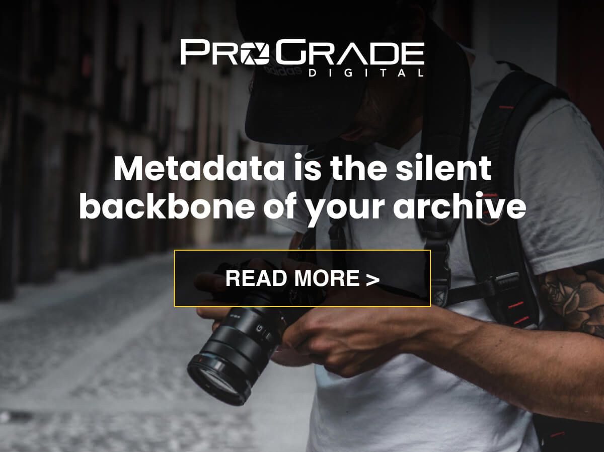 Metadata is the silent backbone of your archive