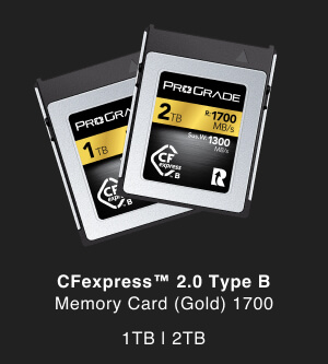 CFexpress™ 2.0 Type B Memory Card (Gold) 1700