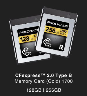 CFexpress™ 2.0 Type B Memory Card (Gold) 1700 128GB | 256GB