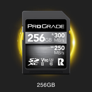 ProGrade Digital SDXC UHS-II V90 300R Memory Card