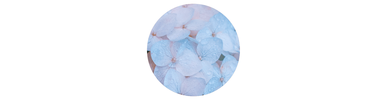We are an Australasian fragrance house