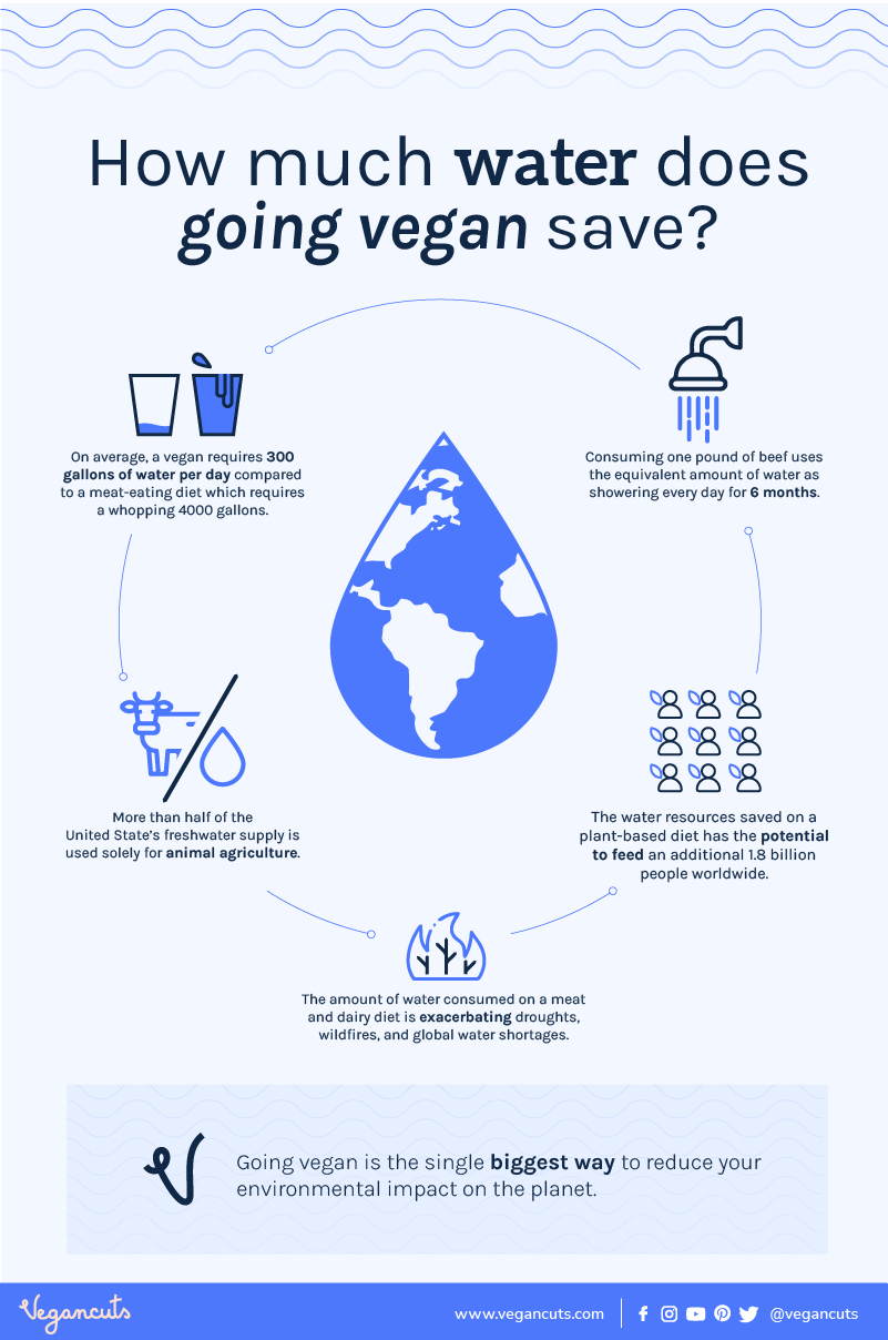 🌊 Waterfriendly products to celebrate World Water Day 🐟 Vegan Cuts