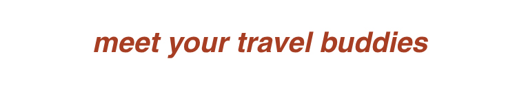 meet your travel buddies