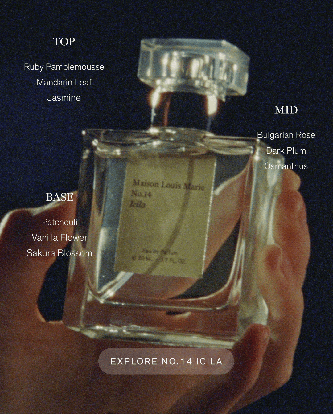 Explore No. 14 Icila