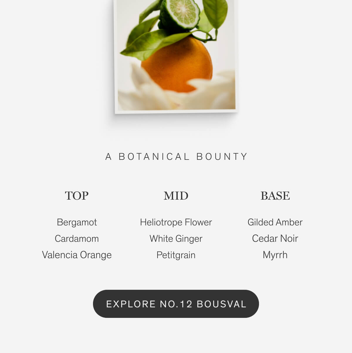 A Botanical Bounty: top (bergamout, cardamom, valencia orange), mid (heliotrope flower, white ginger, petitgrain), base (gilded amber, cedar noir, myrrh) | Explore No.12 Bousval