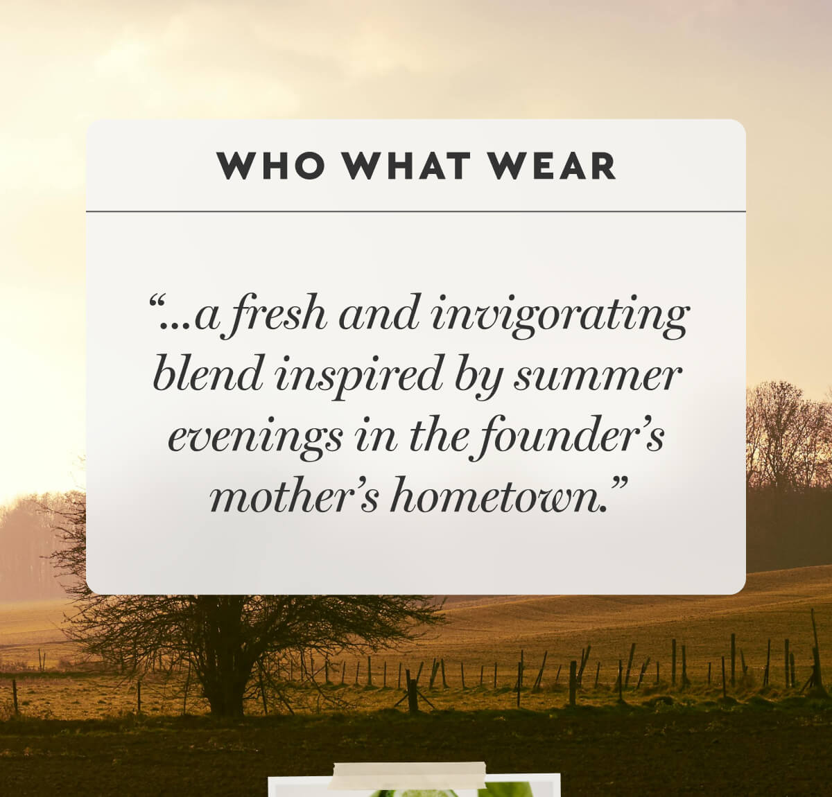 WHO WHAT WEAR: “...a fresh and invigorating blend inspired by summer evenings in the founder’s mother’s hometown.” 