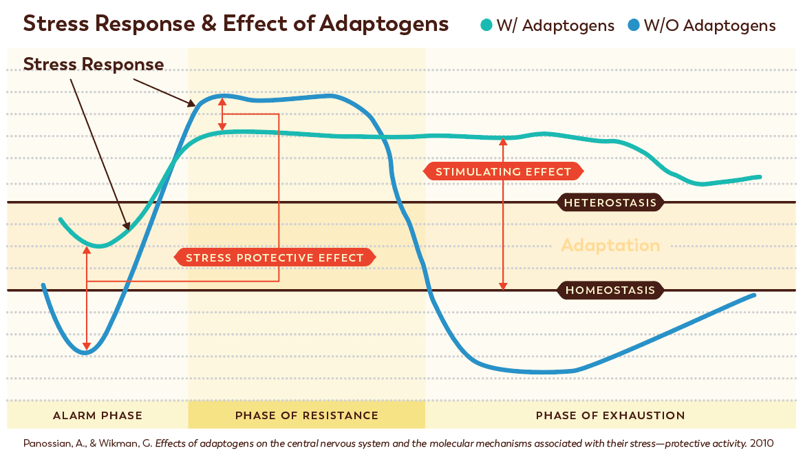 Stress Response and Effect of Adaptogens