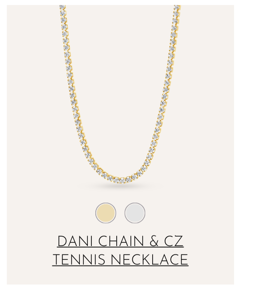 Dani Chain Necklace