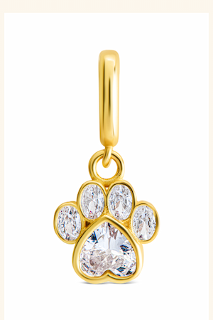 Sterling Silver CZ Paw Charm