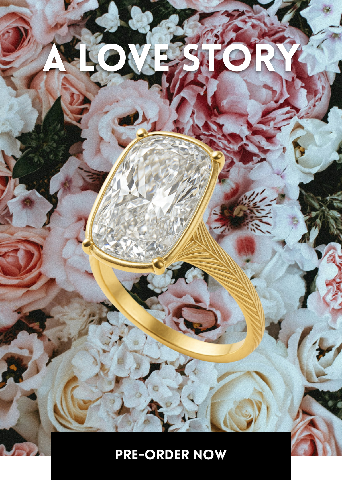 A Love Story [Pre-Order Now]