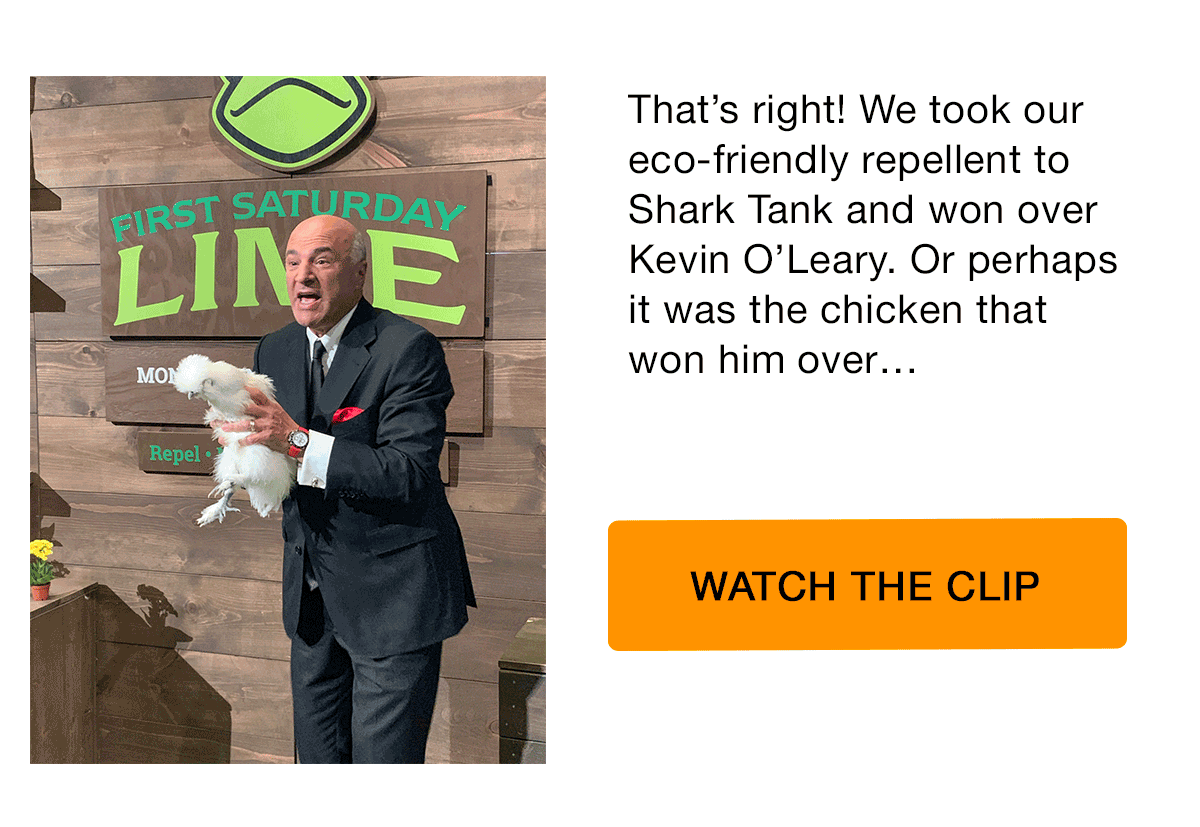 See which shark invested in First Saturday Lime! First Saturday Lime