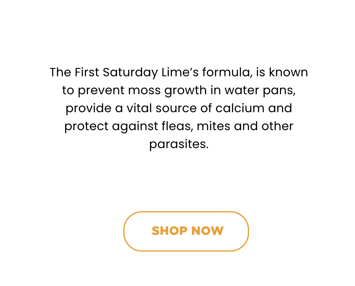 Is Lime Safe To Use Around Chickens at Kevin Macintyre blog