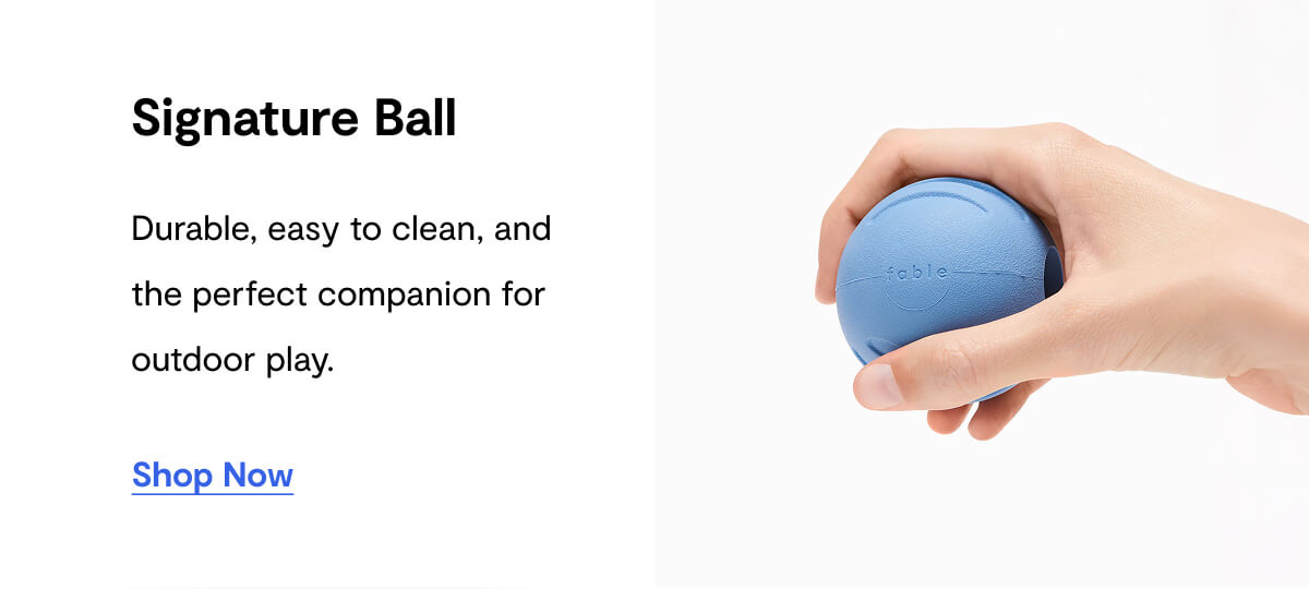 Signature Ball