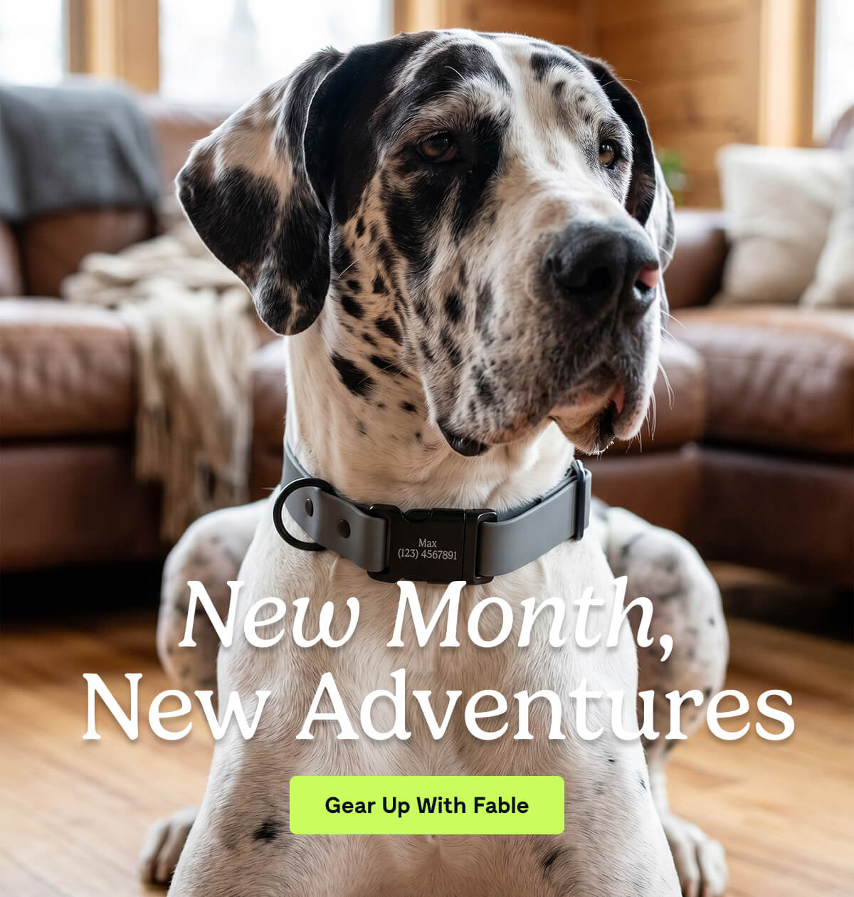 New Month, New Adventures