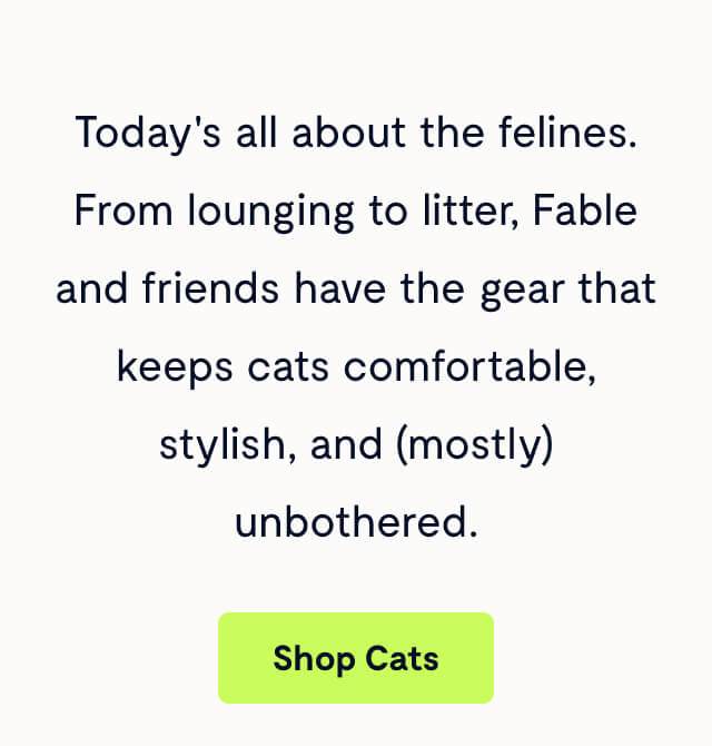 Today's all about the felines. From lounging to litter, Fable and friends have the gear that keeps cats comfortable, stylish, and (mostly) unbothered.