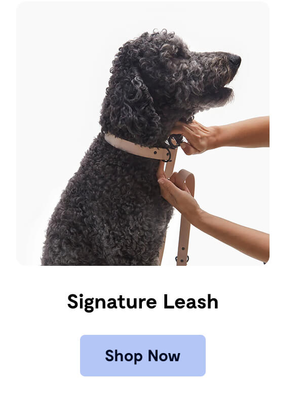 Signature Leash