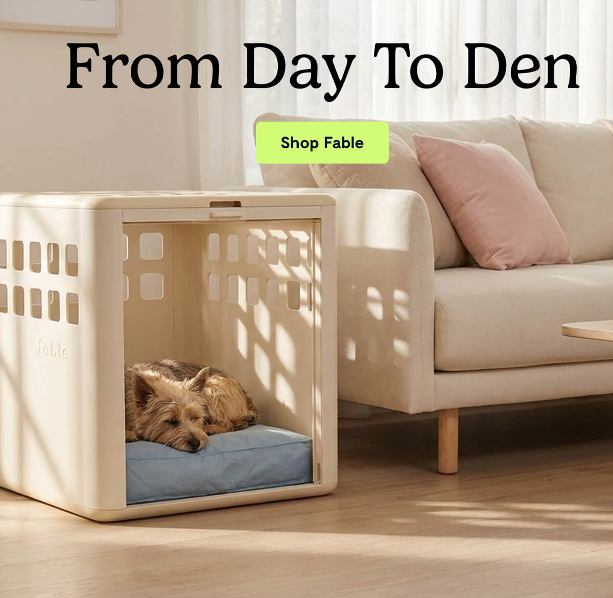 From Day to Den