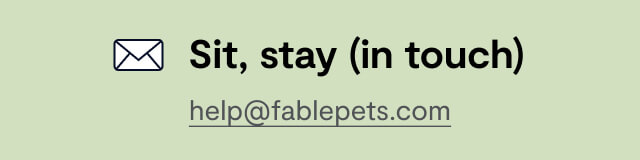 Sit, Stay (In Touch)