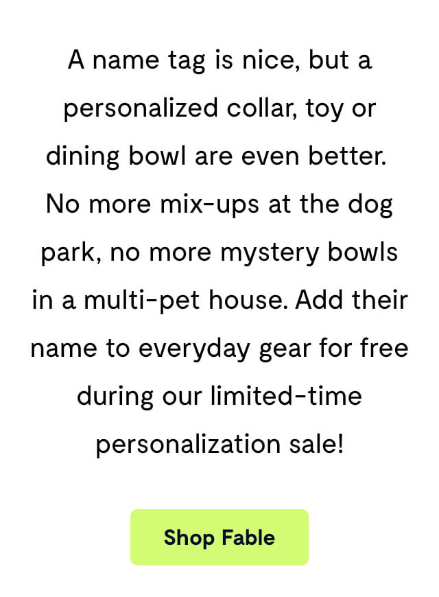A name tag is nice, but a personalized collar, toy or dining bowl are even better. No more mix-ups at the dog park, no more mystery bowls in a multi-pet house. Add their name to everyday gear for free during our limited-time personalization sale!