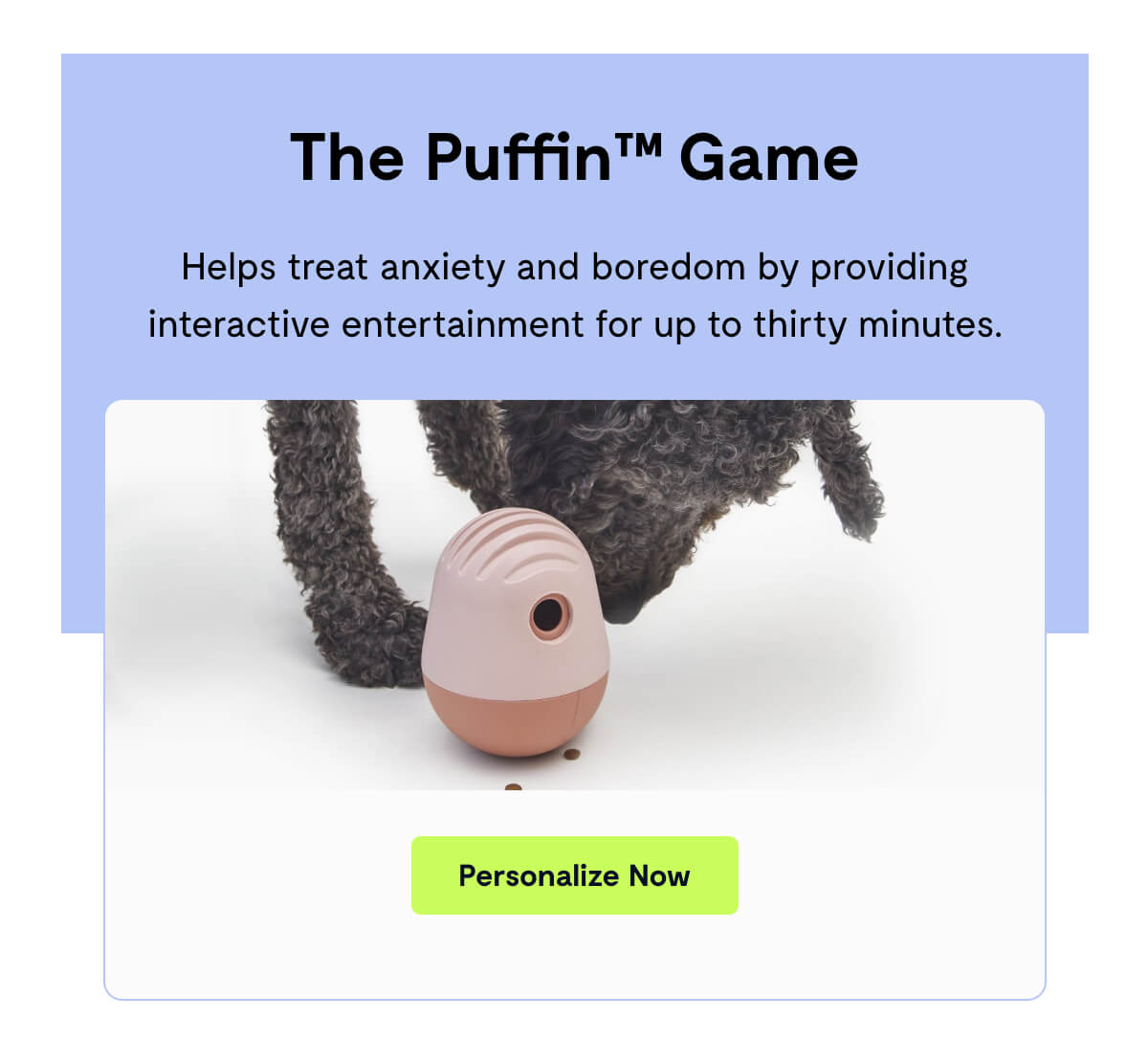 The Puffin™ Game