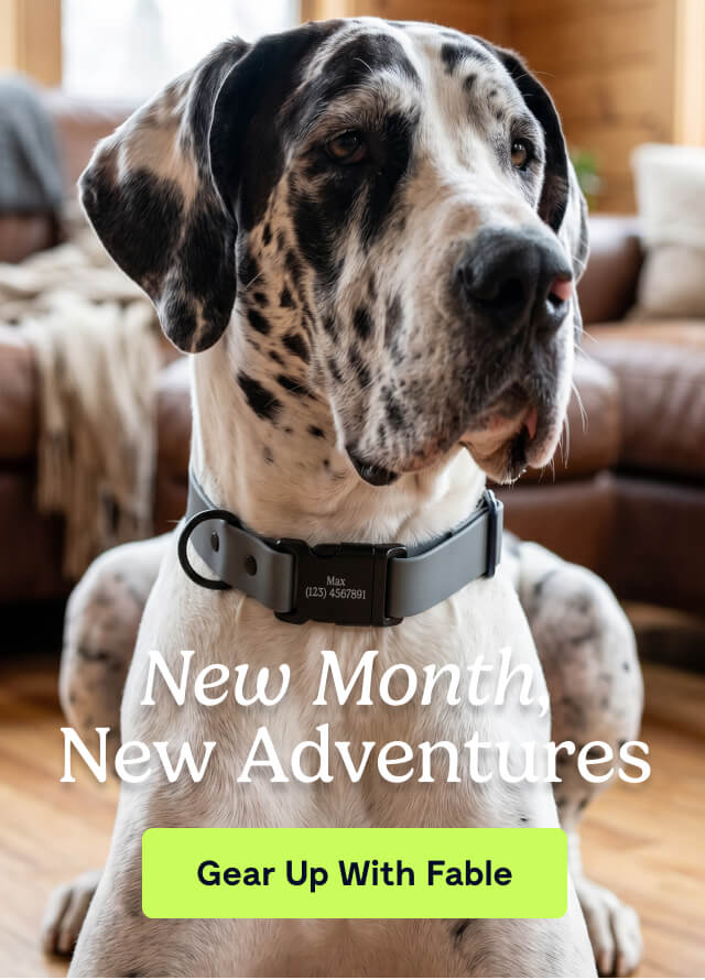 New Month, New Adventures