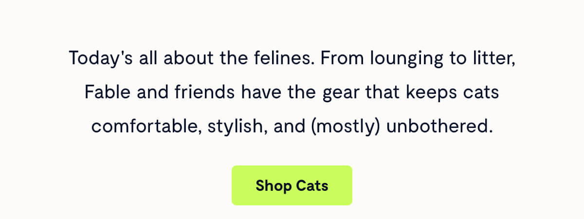 Today's all about the felines. From lounging to litter, Fable and friends have the gear that keeps cats comfortable, stylish, and (mostly) unbothered.