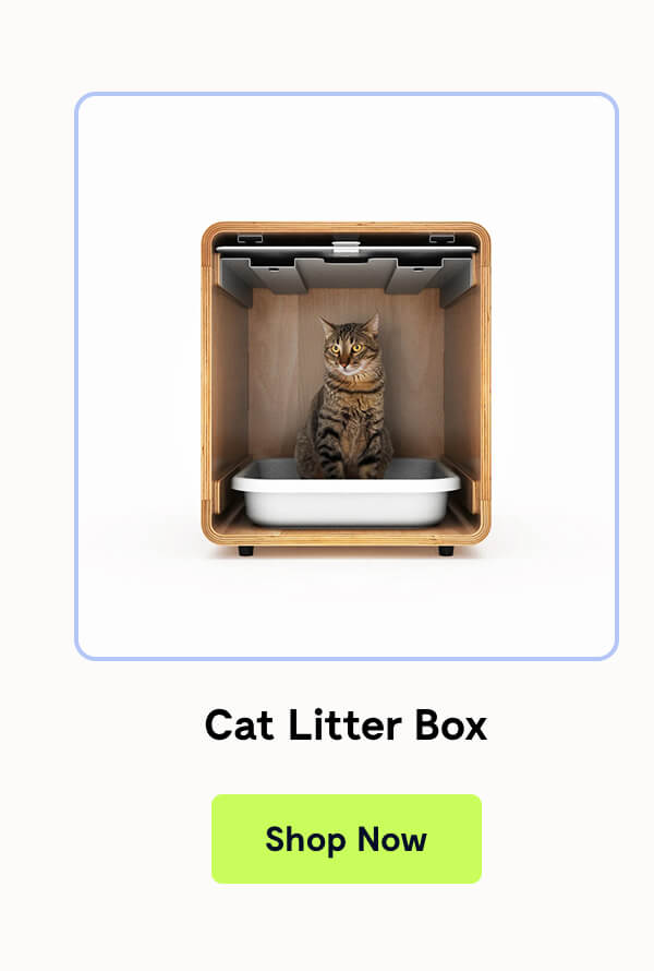 Cat Litter Box