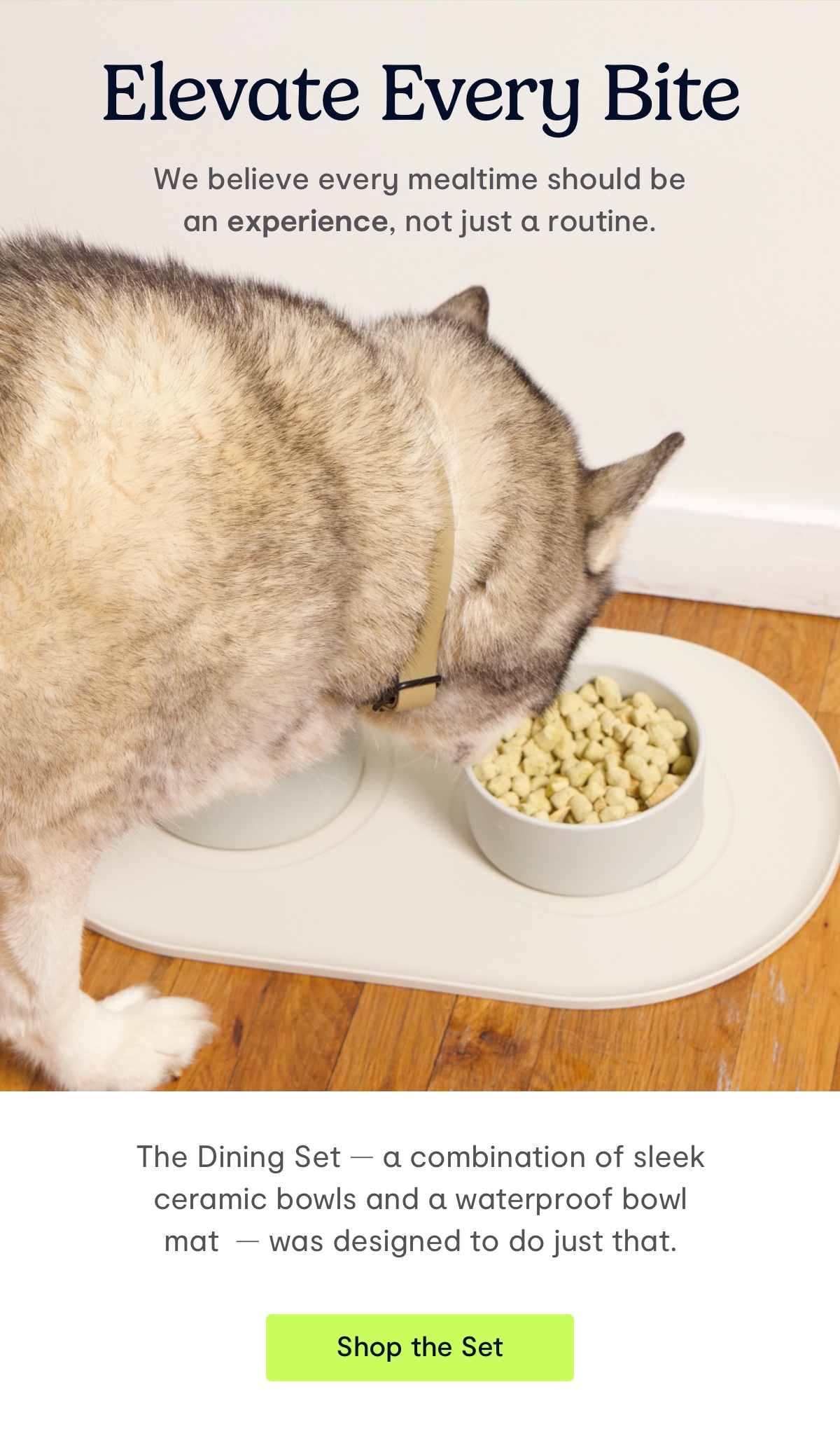 Elevate Every Bite; We believe every mealtime should be an experience, not just a routine. The Dining Set — a combination of sleek ceramic bowls and a waterproof bowl mat — was designed to do just that.