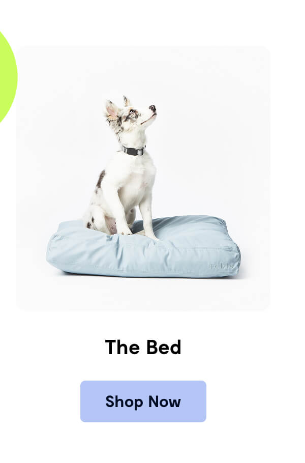 The Bed