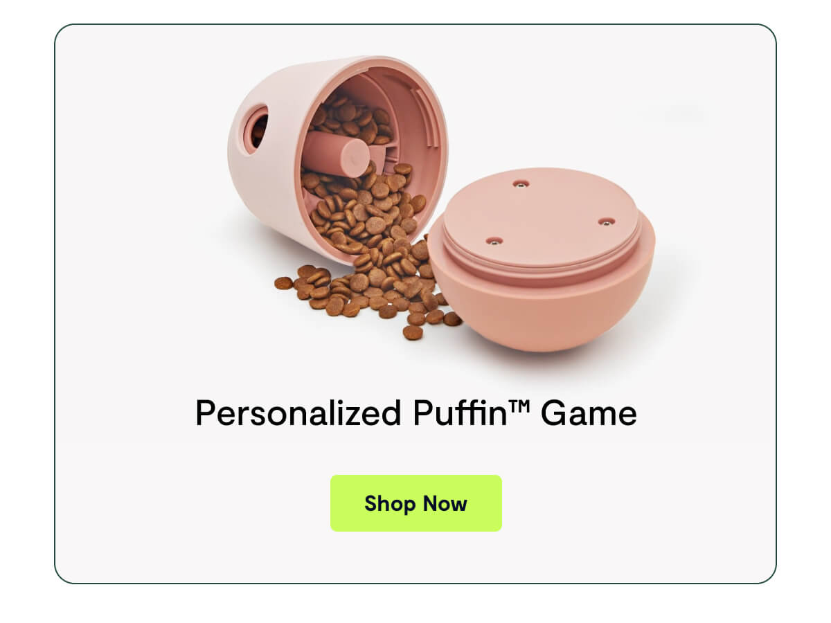 Personalized Puffin™ Game