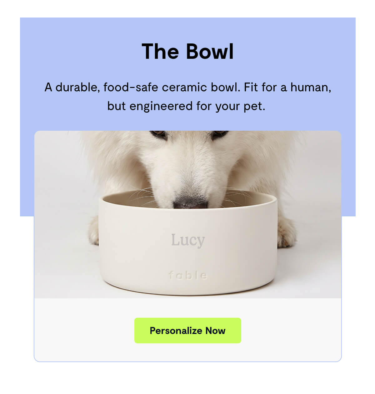 The Bowl